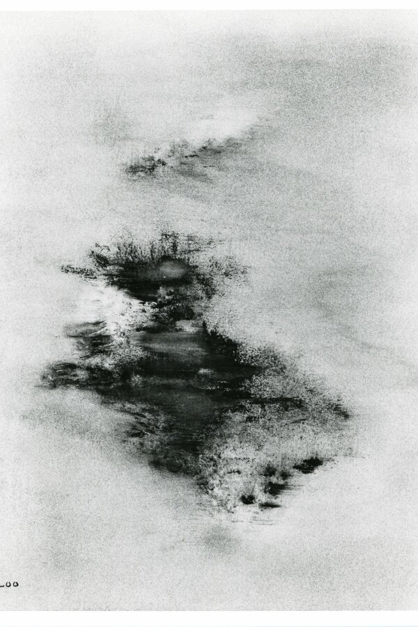 Paysage en forme de poisson [Krajina ve tvaru ryby], huile sur papier [olej na papíru], 50x65 cm